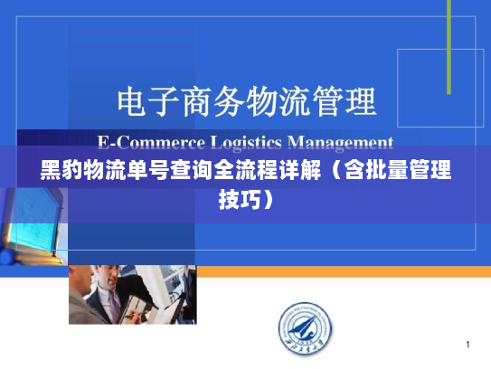 黑豹物流单号查询全流程详解（含批量管理技巧）