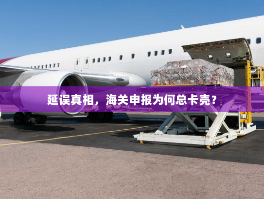 延误真相，海关申报为何总卡壳？