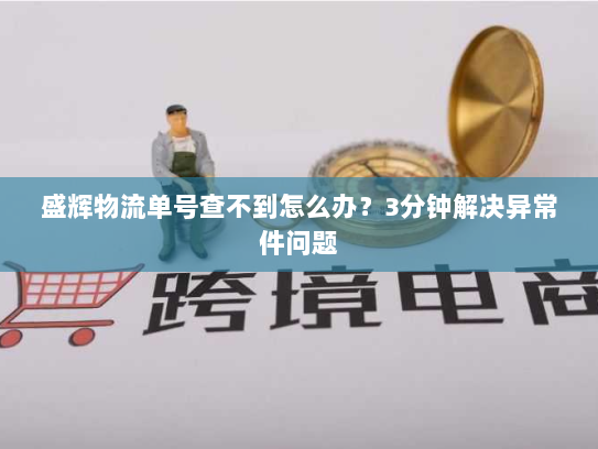 盛辉物流单号查不到怎么办？3分钟解决异常件问题
