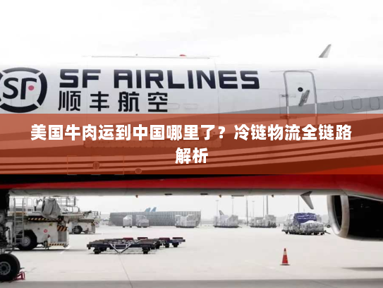 美国牛肉运到中国哪里了？冷链物流全链路解析