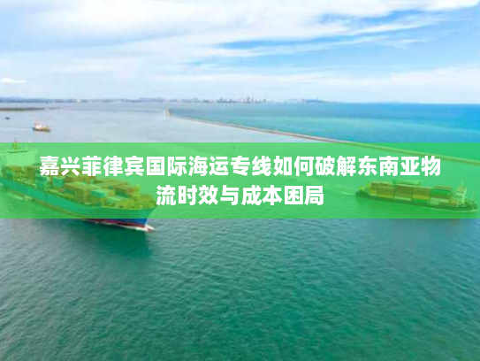 嘉兴菲律宾国际海运专线如何破解东南亚物流时效与成本困局 嘉兴菲律宾国际海运专线如何破解东南亚物流时效与成本困局