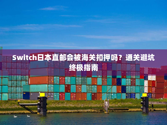 Switch日本直邮会被海关扣押吗?通关避坑终极指南 Switch日本直邮会被海关扣押吗?通关避坑终极指南